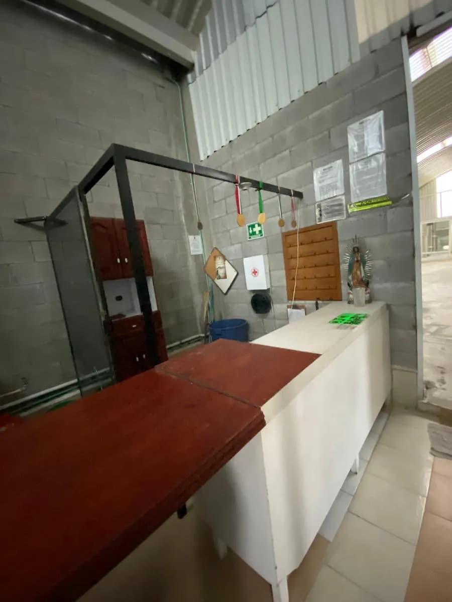 Miniatura 10