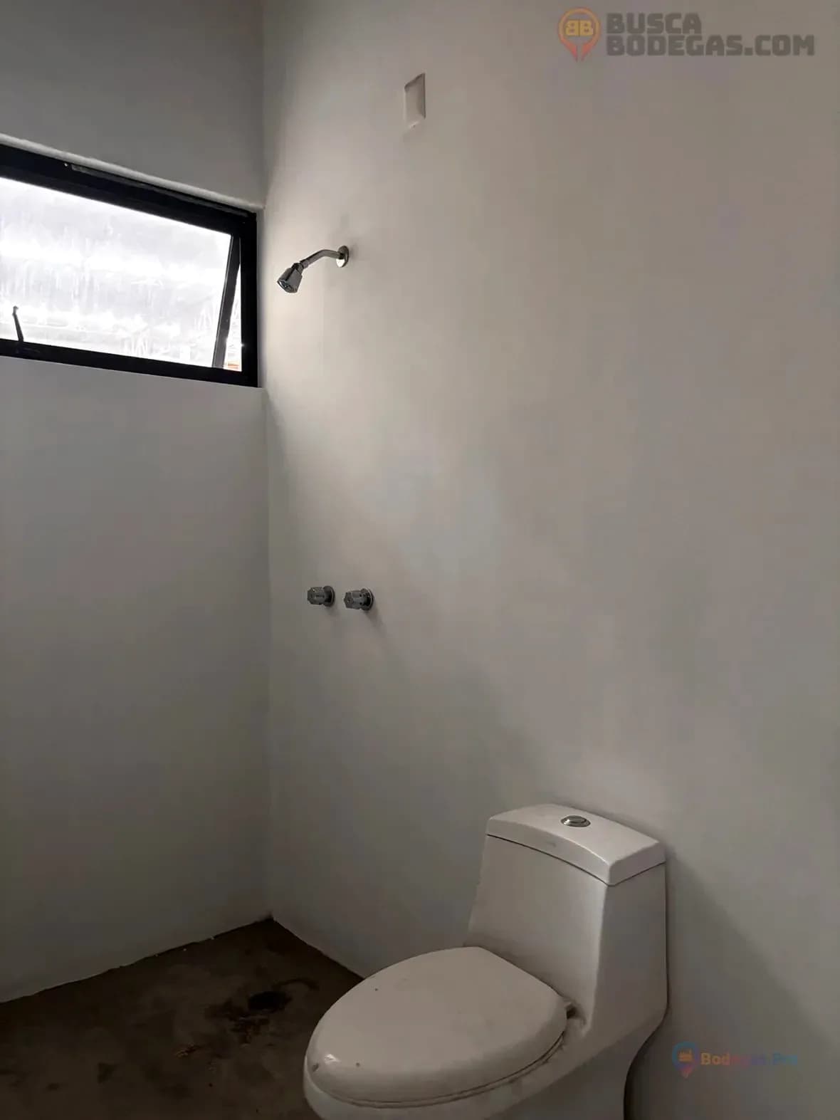 Miniatura 13